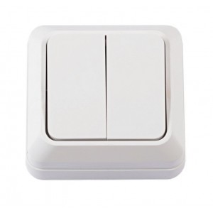 Вимикач зовн. устан. 2-кл. білий IP20 TNSy Leon TNSy