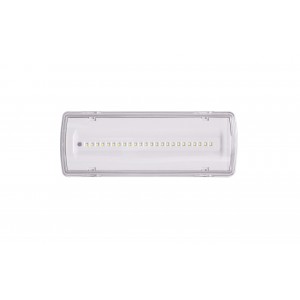 Світильник евакуаційний UJ01-24LED-2W-6500K-3H-200L-IP65 TNSy