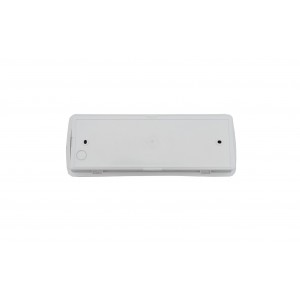 Світильник евакуаційний UJ01-24LED-2W-6500K-3H-200L-IP65 TNSy