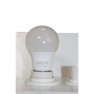 Лампа світлодіодна LED Bulb-A60-12W-E27-220V-4000K-1100L SILVER TNSy