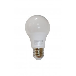 Лампа світлодіодна LED Bulb-A60-12W-E27-220V-4000K-1100L SILVER TNSy