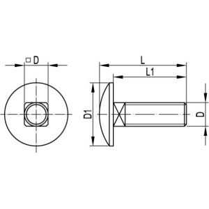 Гвинт з гладкою голівкою і квадратним підголовником М6х20, CM010620, ДКС