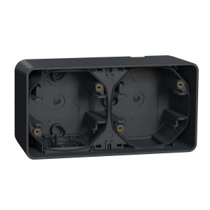 Двомісний бокс для поверхневого монтажу IP55, чорний Mureva Styl Schneider Electric MUR37914
