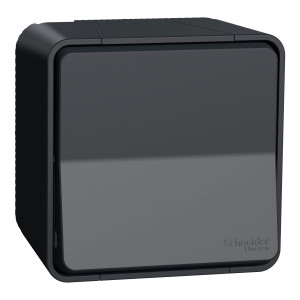 Кнопковий вимикач у зборі IP55, чорний, Mureva Styl Schneider Electric MUR35026