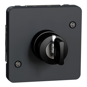 Механізм вимикача з ключем на 3 положення IP55, чорний, Mureva Styl Schneider Electric MUR35061