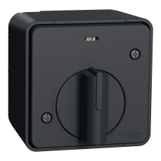 Вимикач з таймером IP55, для поверхневого монтажу, чорний, Mureva Styl Schneider Electric MUR35067