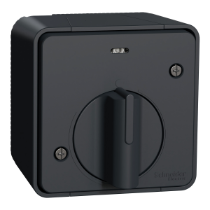 Вимикач з таймером IP55, для поверхневого монтажу, чорний, Mureva Styl Schneider Electric MUR35067