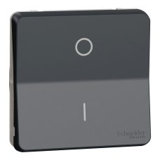 Механізм перемикача двохполюсний IP55, чорний, Mureva Styl Schneider Electric MUR35034