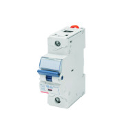 Автоматичний вимикач 1P хар-ка C 100А ,16KA GEWISS