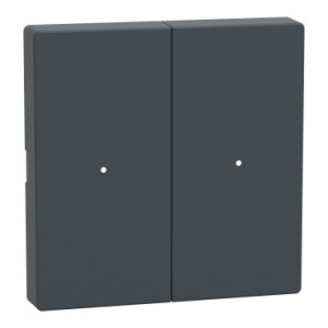 Клавіша для модуля 2 кнопкового вимикача, антрацит,  Merten System M Schneider Electric MTN625214