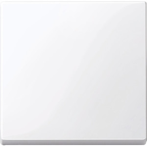 Клавіша, активно-білий, Merten System M Schneider Electric MTN432125