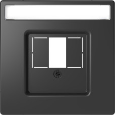 Центральна плата для TAE/Audio/USB з полем для напису, Антрацит, MERTEN D-Life  Schneider Electric MTN4250-6034