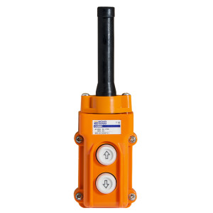 Пост 2* кнопковий COB61