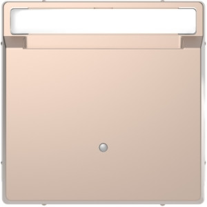 Картковий вимикач,  з підсвічуванням, Шампань, Merten D-life Schneider Electric, MTN3854-6052