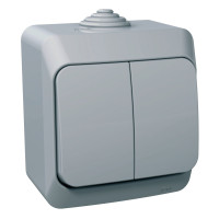 ВИМИКАЧ НАКЛАДНИЙ 2-КЛАВІШНИЙ SCHNEIDER ELECTRIC CEDAR PLUS, IP44, СІРИЙ