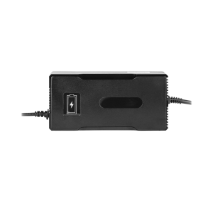 Зарядний пристрій для акумуляторів LiFePO4 36V (43.2V)-5A-180W