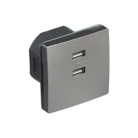 Розетка 2-на USB SIEMENS DELTA Style 250V, 2100 mA платина металік