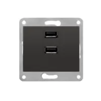 Розетка USB подвійна 250V 2.1A SIEMENS DELTA Iris чорний коссо