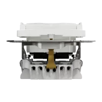 Розетка з заземленням, зі шторками та кришкою Білий Sedna Design Schneider Electric SDD111024